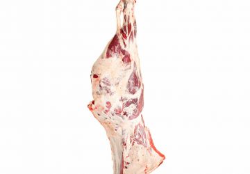 Abattoir Val Pacifc 2