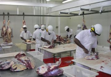 Abattoir Val Pacifc 4