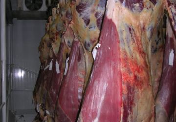 Abattoir Val Pacifc 5