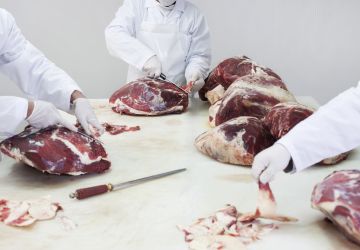 Abattoir Val Pacifc 1